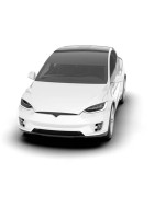 Model S